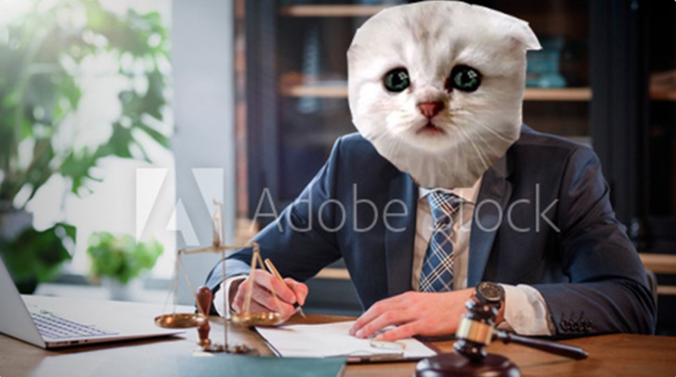 Adobe's tweet photo. I'm not actually a lawyer... https://t.co/TswQDXbyP6