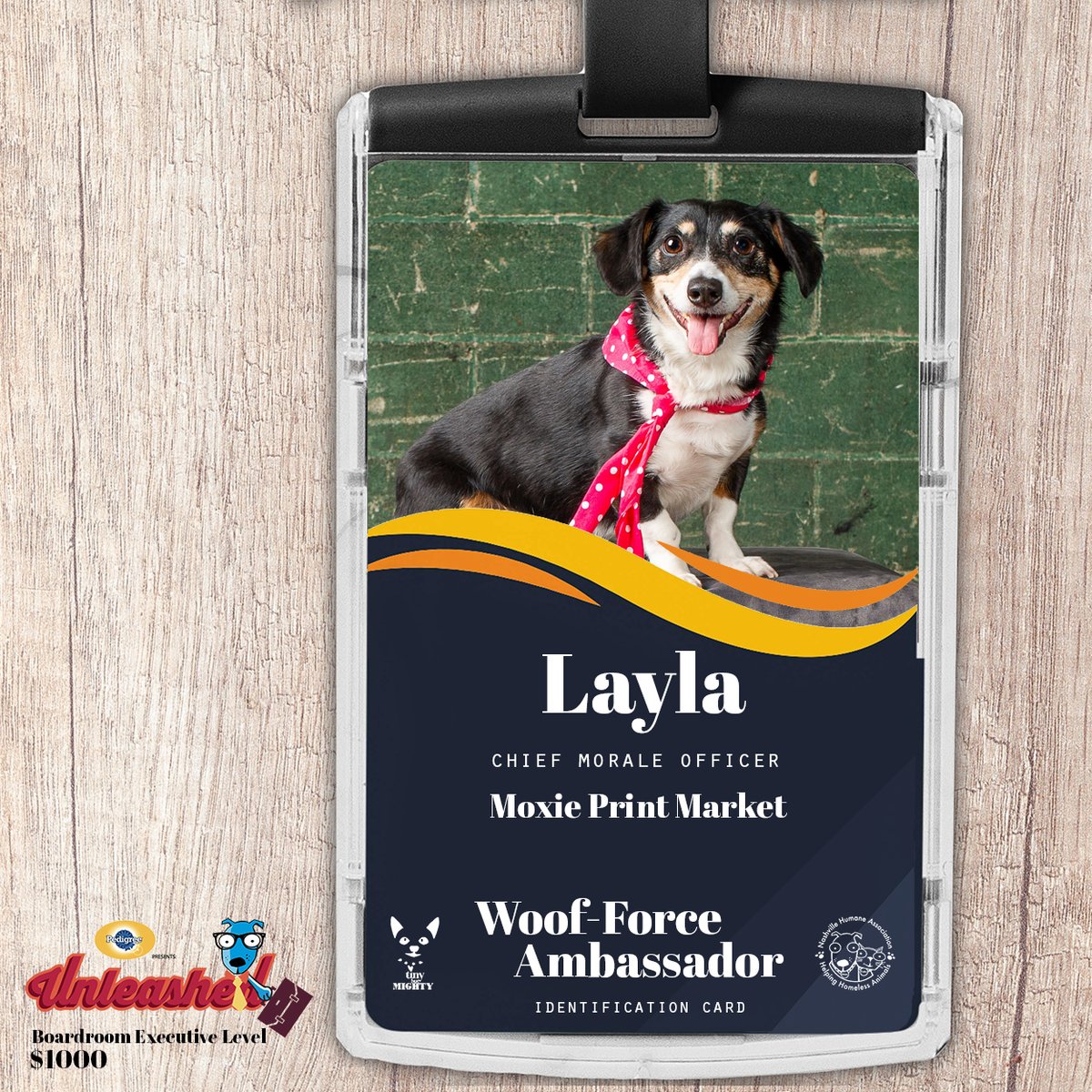 MoxiePrint's tweet image. This year Layla, has been &quot;hired&quot; as part of @nashvillehumane &amp;amp; @tinybutmightyfund Unleashed Woof(Work)Force! Please join me and my Team in raising money for this amazing cause: give.classy.org/Unleashed2021L….. #unleashed2021