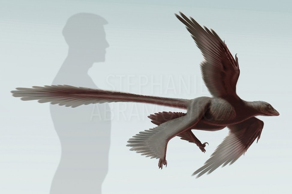 Stephanie Abramowicz is a great example of highly methodic and aesthetic works near to truely reviving the past. https://stephanieabramowicz.com/work&nbsp;In the following video, her capabilities also embraces that we can consider most of scientific uses of paleoart: