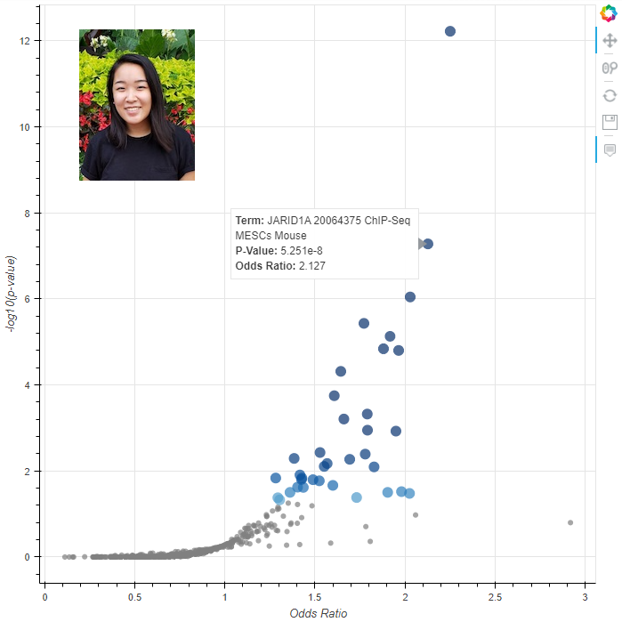 AviMaayan's tweet photo. You can now visualize #Enrichr enrichment results with an interactive volcano plot. This new feature was just added to the #Enrichr #Appyter visualization option. https://t.co/R16kYkALxY Example: https://t.co/wEZHR6CltH This feature was implemented by @MaayanLab Sherry Xie. https://t.co/8eMXJVsk3v