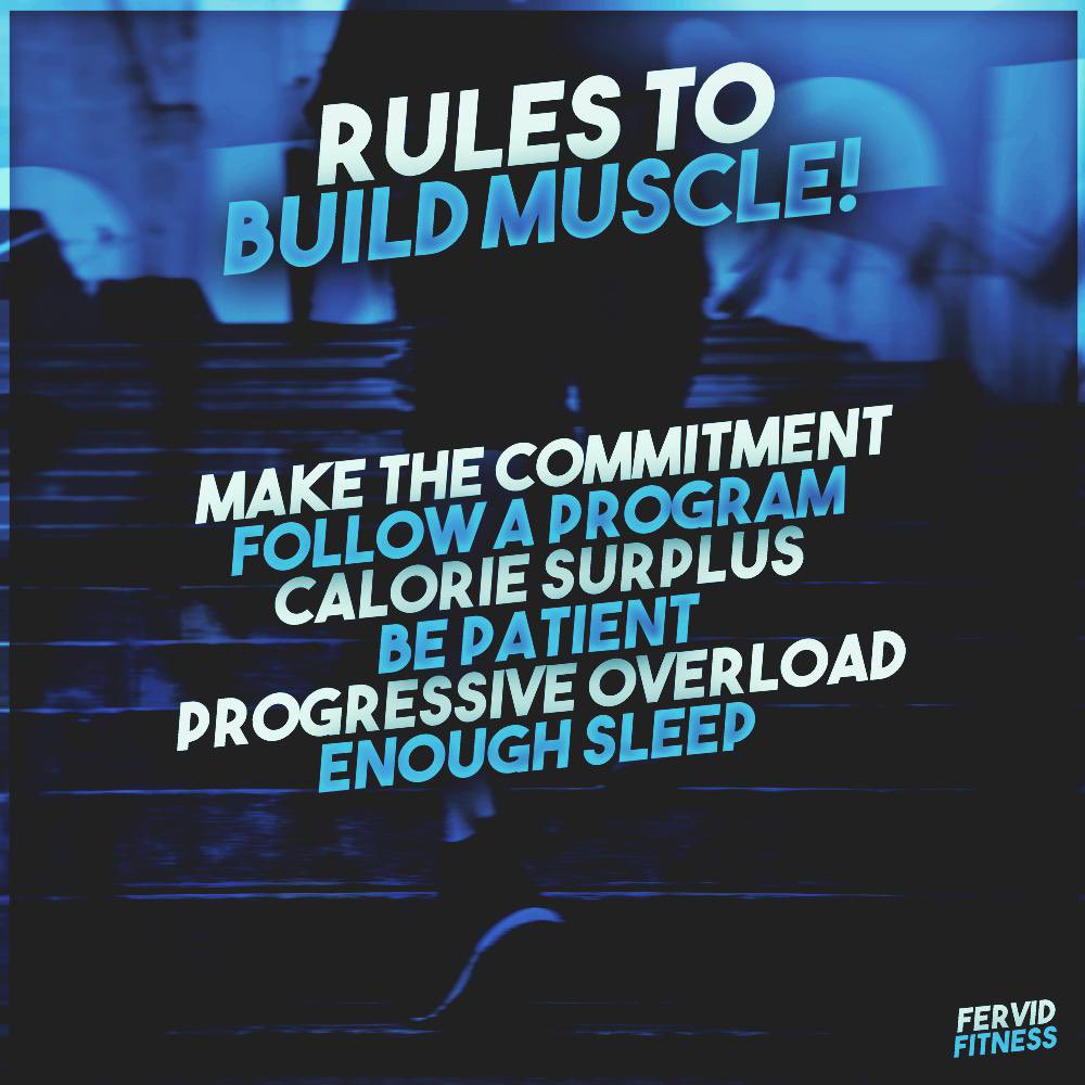 fervidfitness's tweet image. » Follow these and you will see so much progress💪🏼
#fitness #gainmuscle #fastchanges #fitnessmotivation #fitnessjourney #fitnesslife #workout #workouts #workoutmotivation #workoutathome #fitnessplan #fitnesstrainer #fitnesstransformation #gym #gymislife