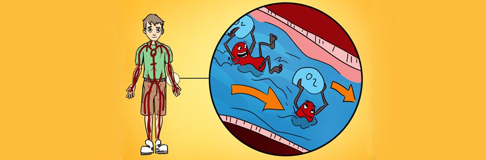 RocketLit tweet media