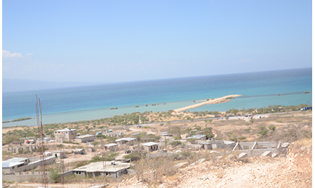 Home Roots Foundation tweet media