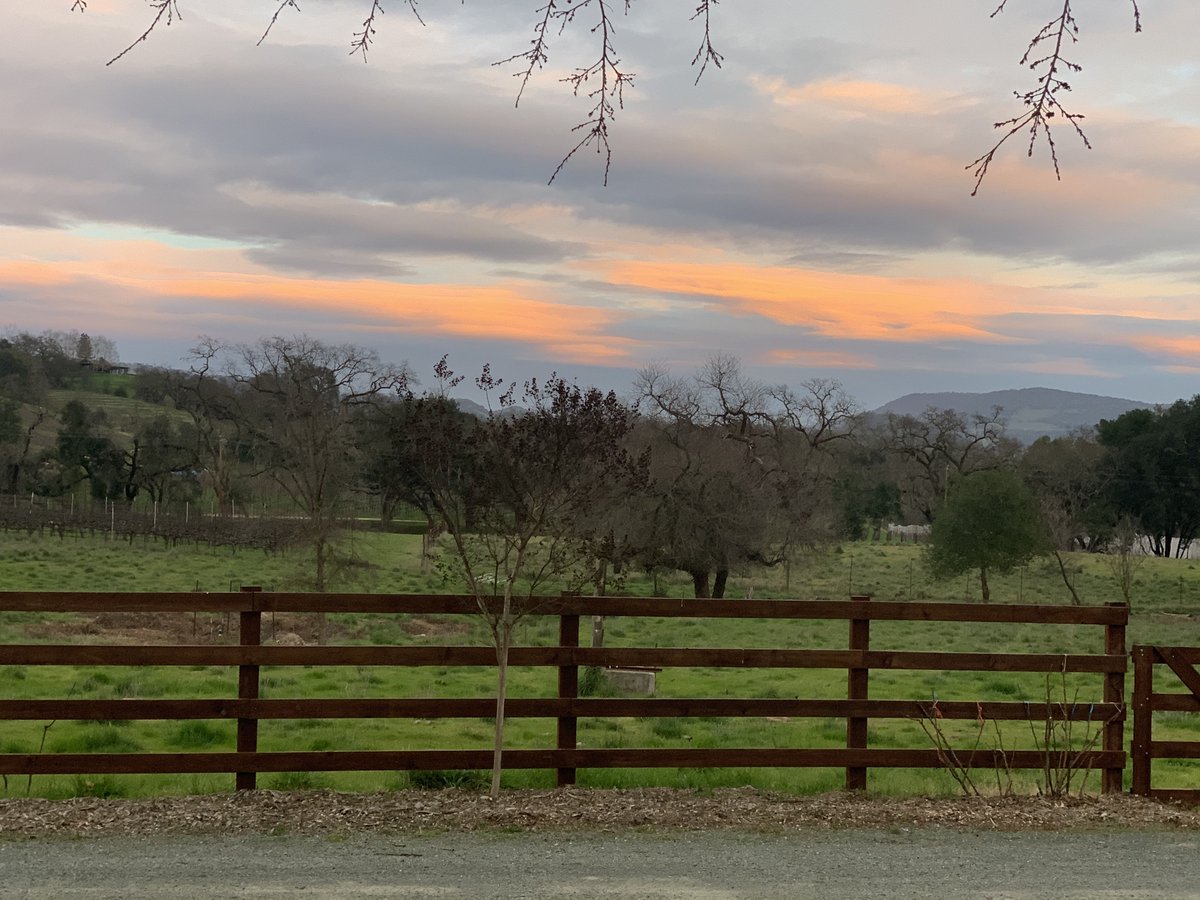 Beauty over the vineyard! #napavalley #februaryinnapa #winterbeauty #seaveyvineyard