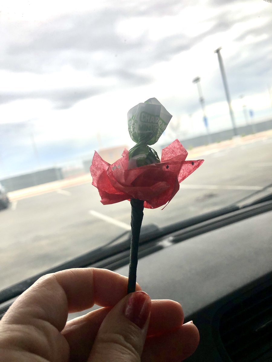 miss_ipsen's tweet photo. Got my valentine 💜🖤 #petal2dametal https://t.co/8rLF56tqbd