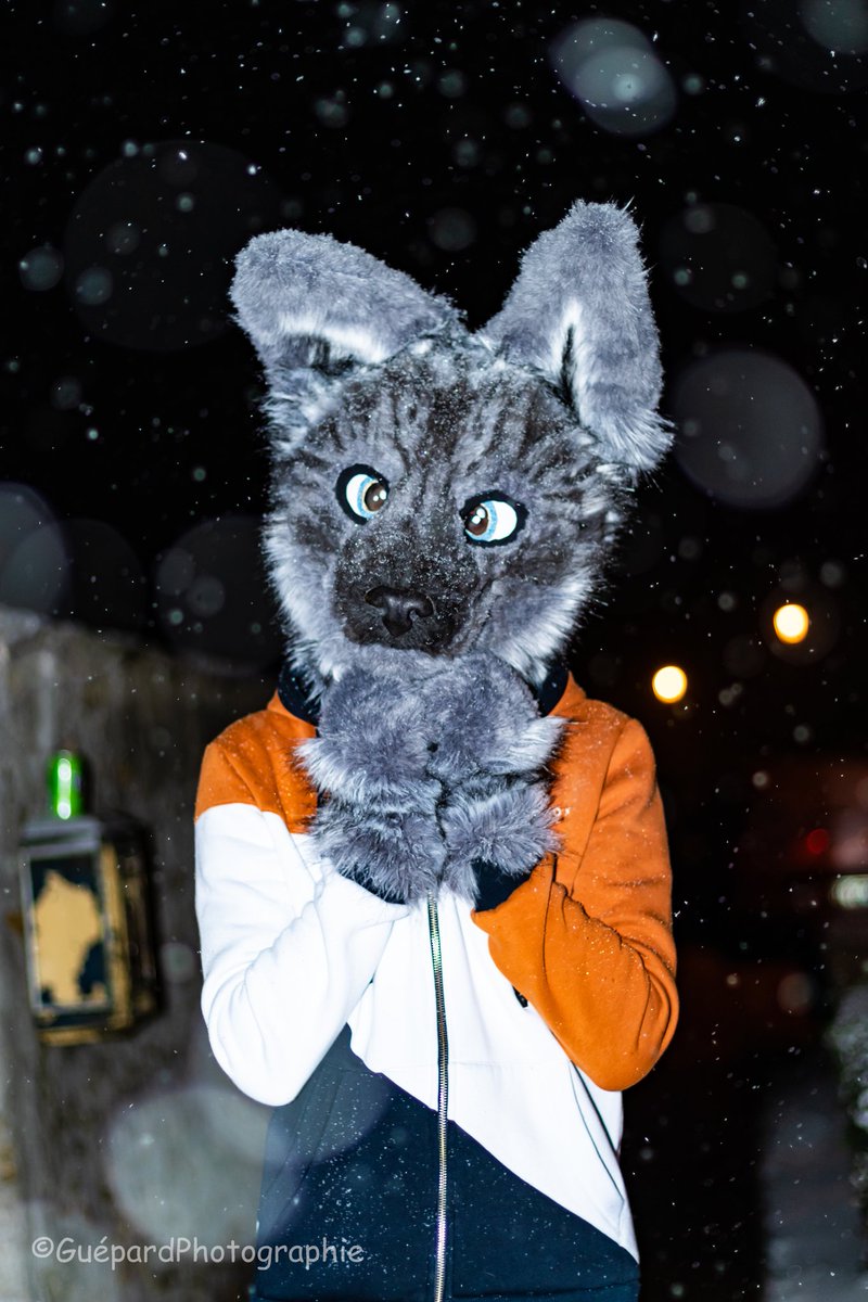 Mon renard Sous la Neige ^^