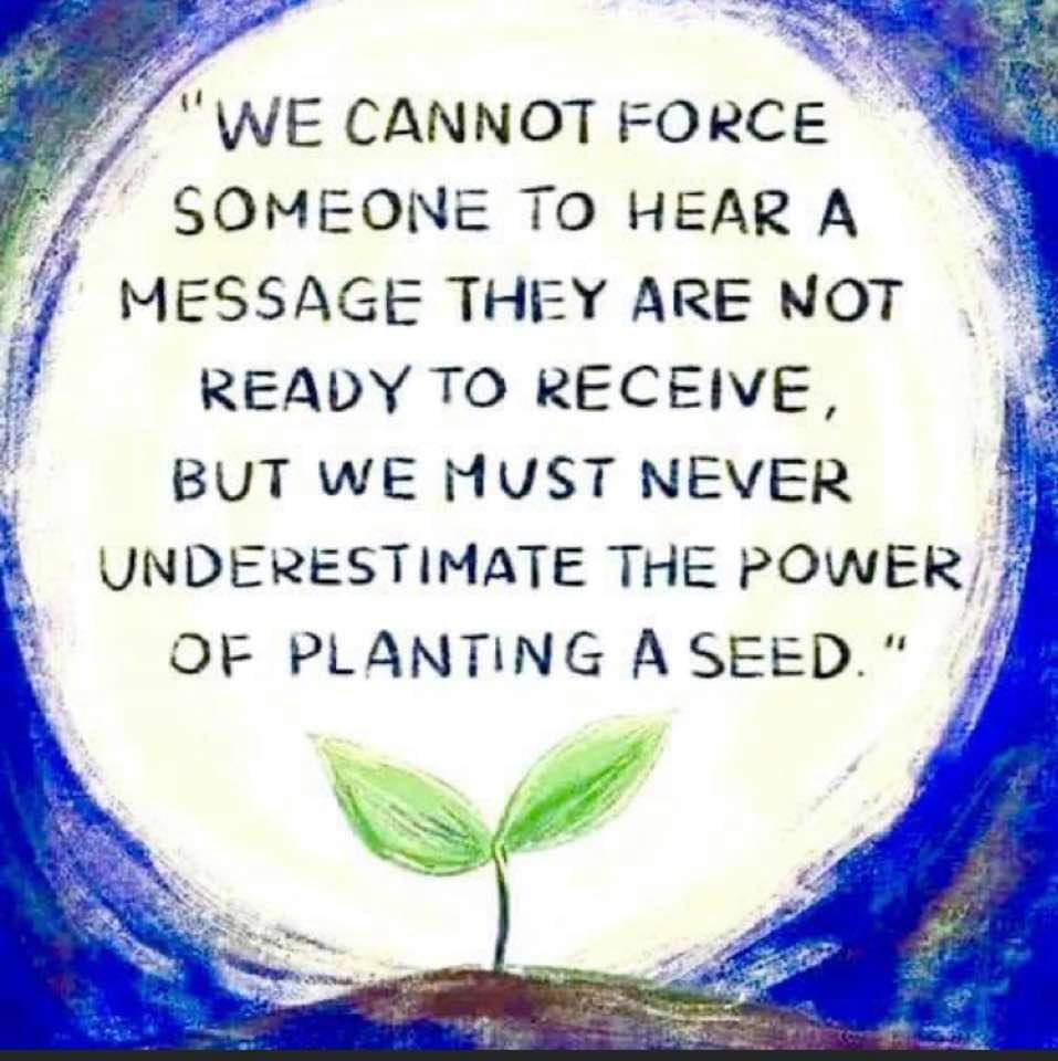 HulaQue's tweet image. 