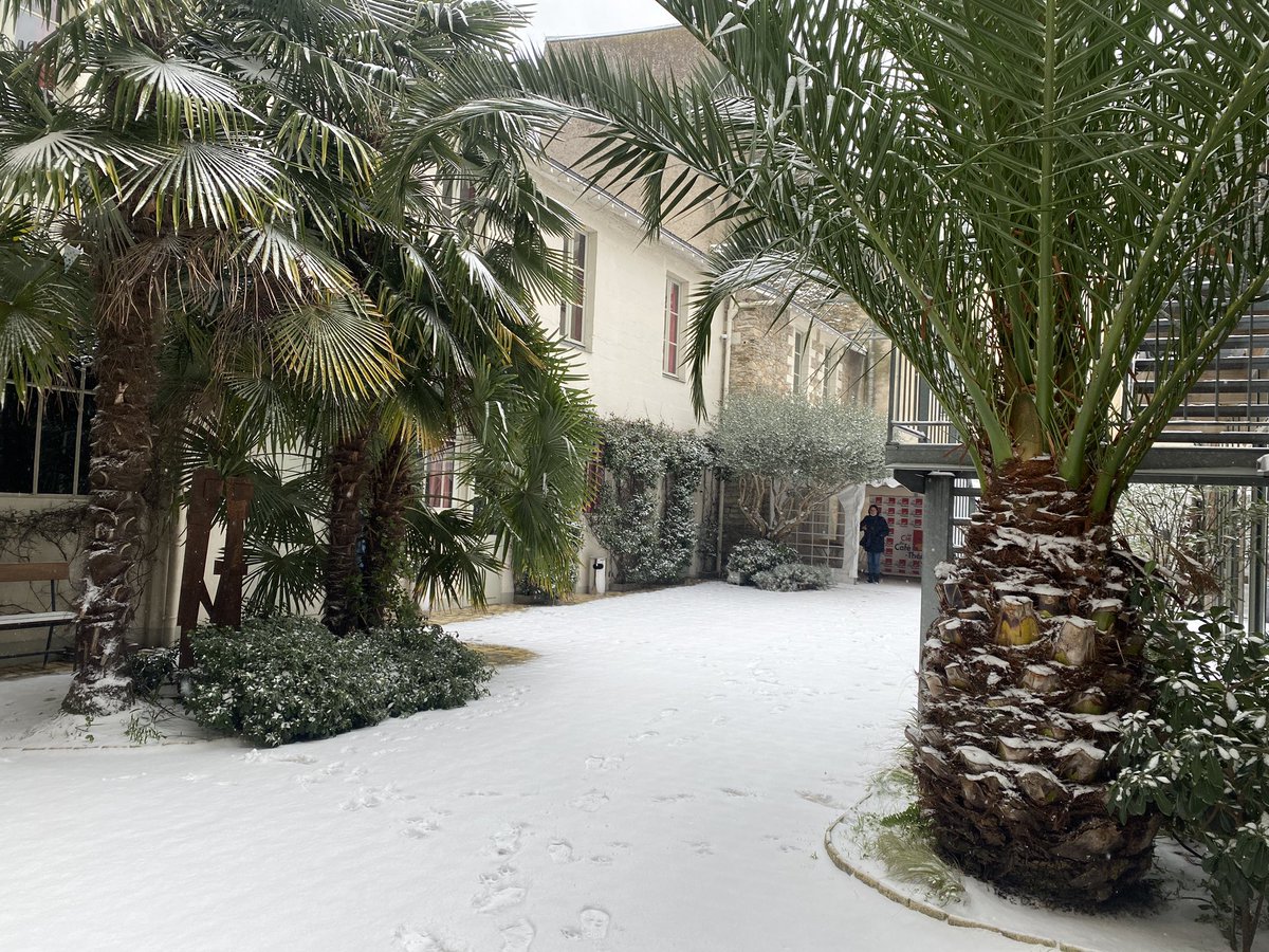 Quelle magie ! Ambiance poétique à @Compagnienantes 🌨 #Nantes