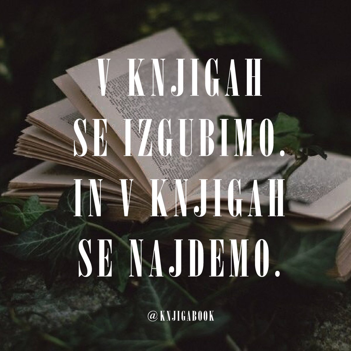 Knjiga_book's tweet photo. Odvisno s katere perspektive gledamo. 💫📖
•
•
•
#knjige #book #knjiga #books #branje #reading #bralec #knjigabook #bookknjiga https://t.co/YZTYWcgxsG