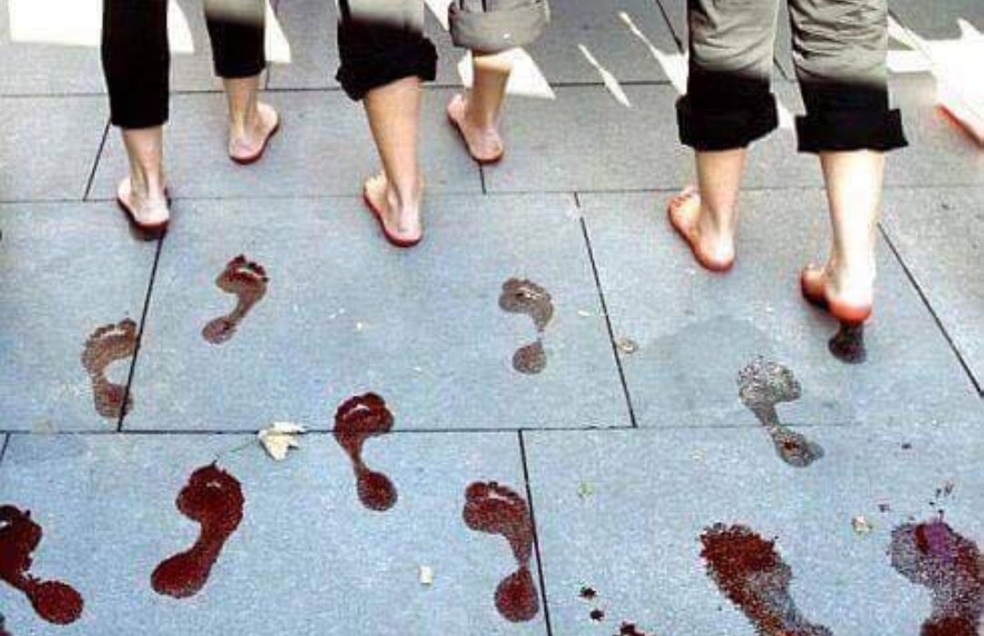 Bazı şarkılar vardır
kanatlarında yağmuru taşıyan kelebeği anlatır...