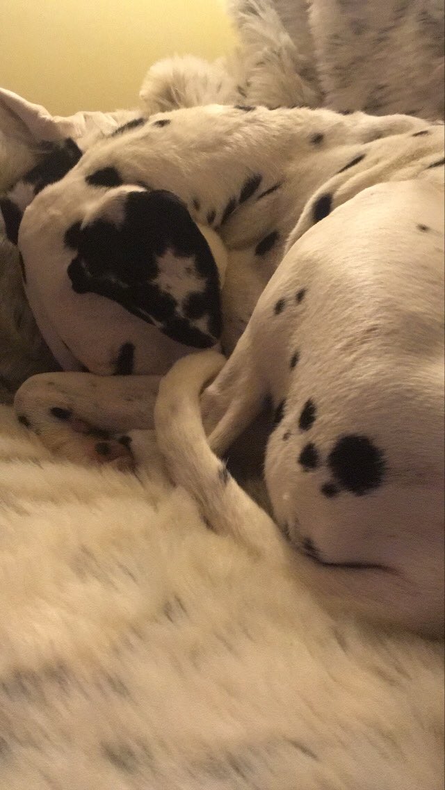 London Queer Writers (LQW) tweet media