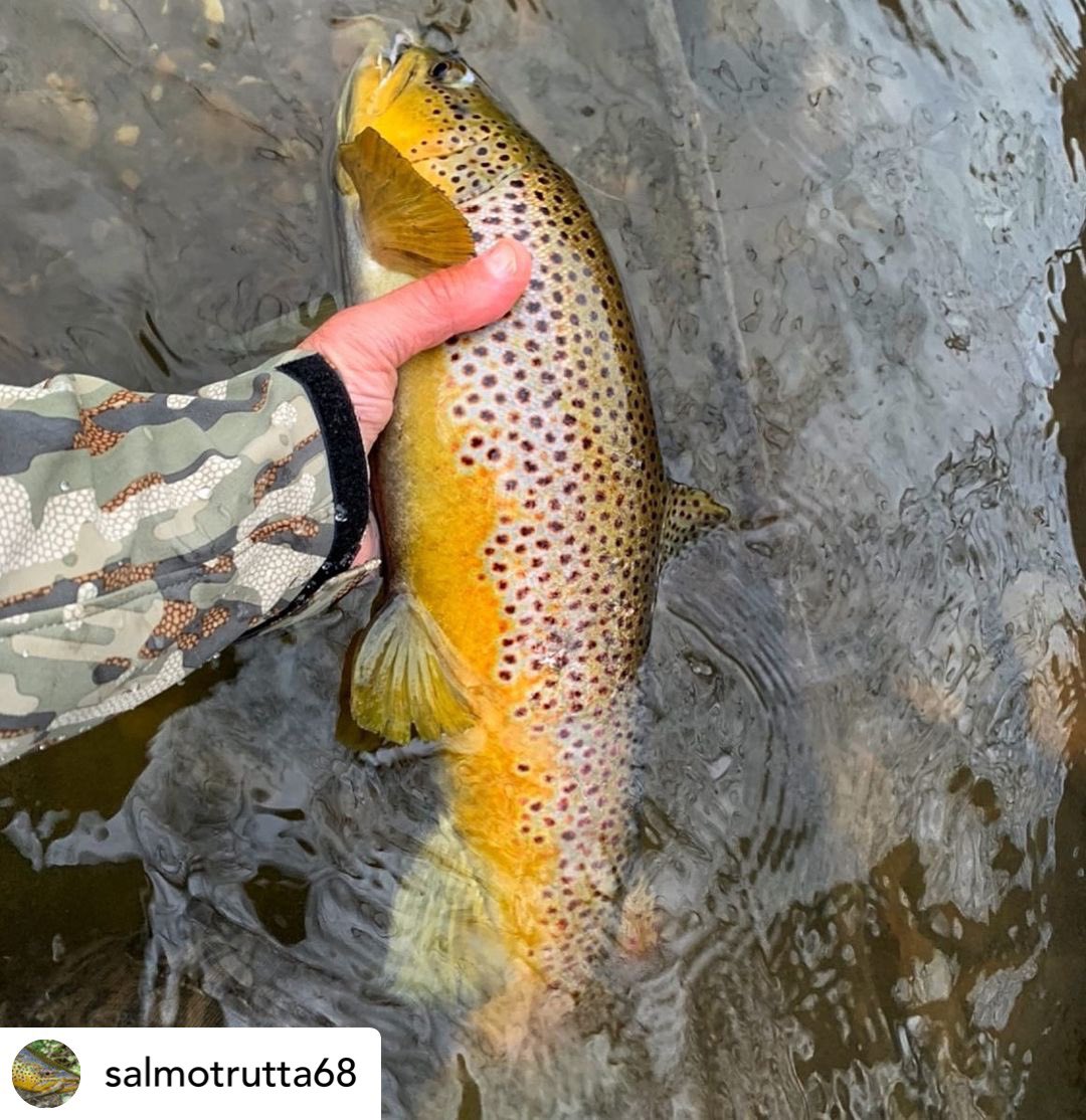 Catching fish.... #wildtrout #rainbowtrout #flyfishing #flytying #catchandrelease #trout #troutfishing #flyfishingaddict #flytyingjunkie #troutflies #troutbum #flyfishinglife #flyfishingnation #flytyingaddict #streamerjunkie #streameraddict #stripset #streamereater #winterfishing