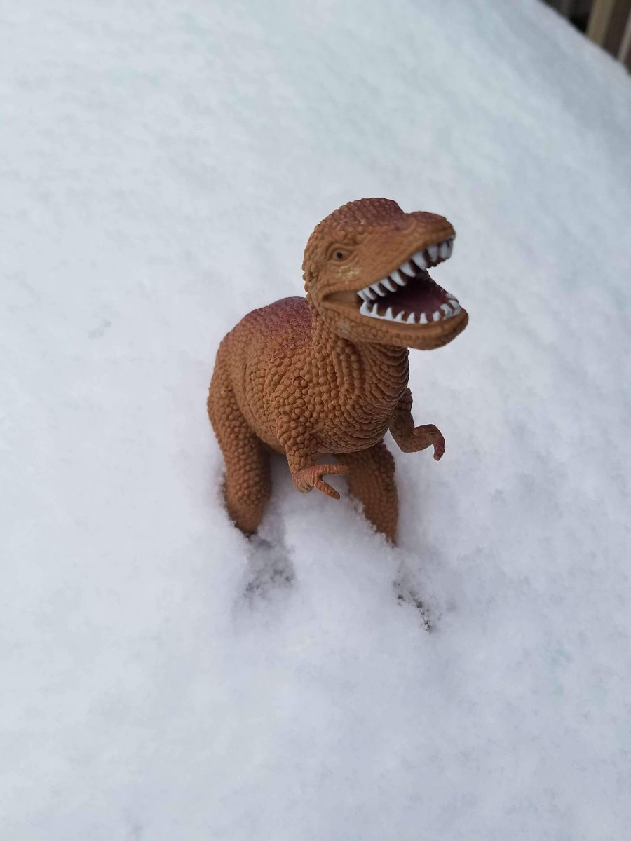 fanniescafe's tweet photo. Snow can't stop the snack attack! We know its gloomy February blues these days but when you visit Fannies you smile! We smile! Everyone is smiling. 😊😊 https://t.co/wWMWXIBzfE