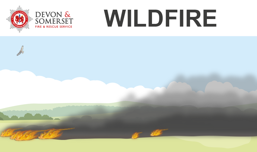 Devon and Somerset Fire and Rescue Service tweet media