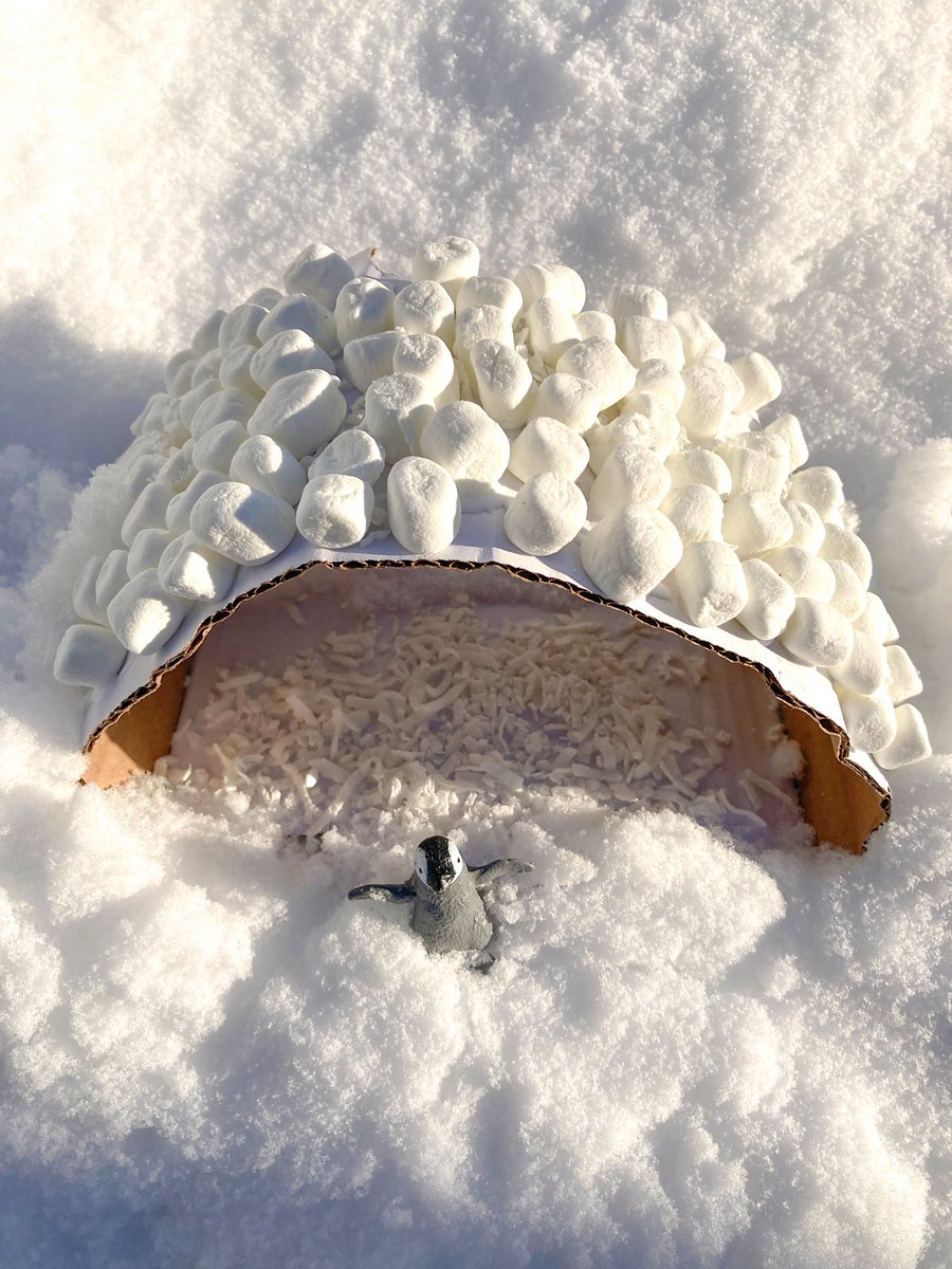 Michele Fillette tweet media