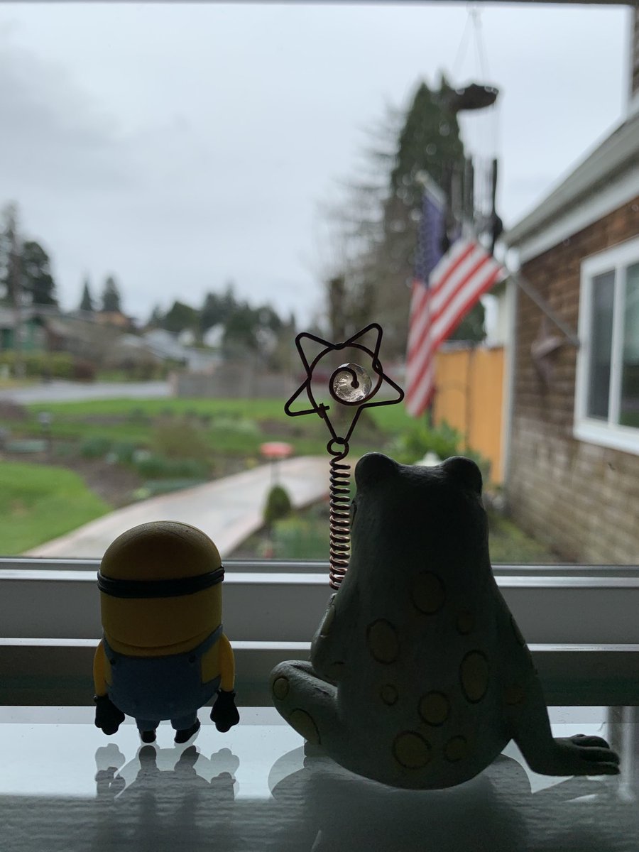 NancyPettit's tweet photo. So we’re on #flakewatch here. The National Weather Bureau says we could get a goodly amount of snow and ice here in the PNW. So far: nada. It’s very breezy though. #ilikesnow #ifyoudontmoveon #VanWA #frommykitchenwindow https://t.co/ZLcRaTLuRN