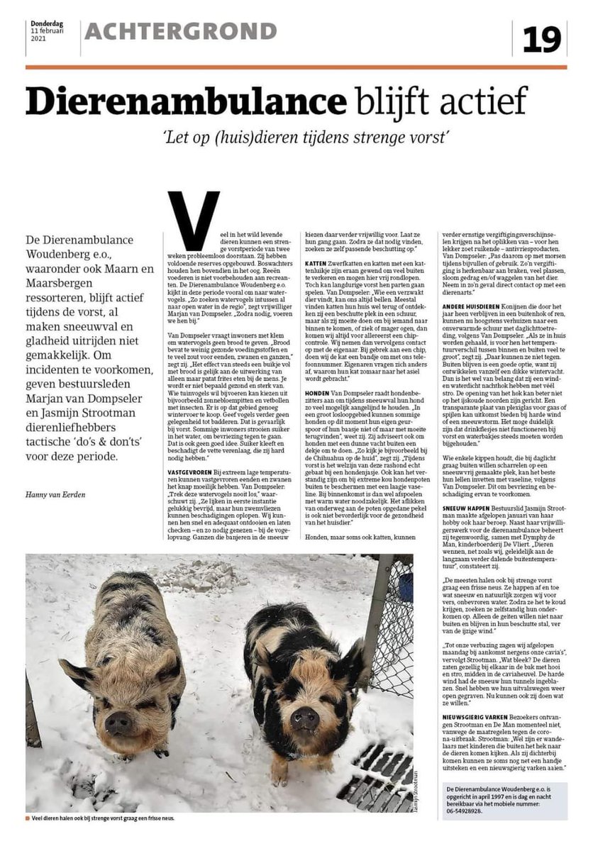 Artikel uit nieuwsblad de Kaap