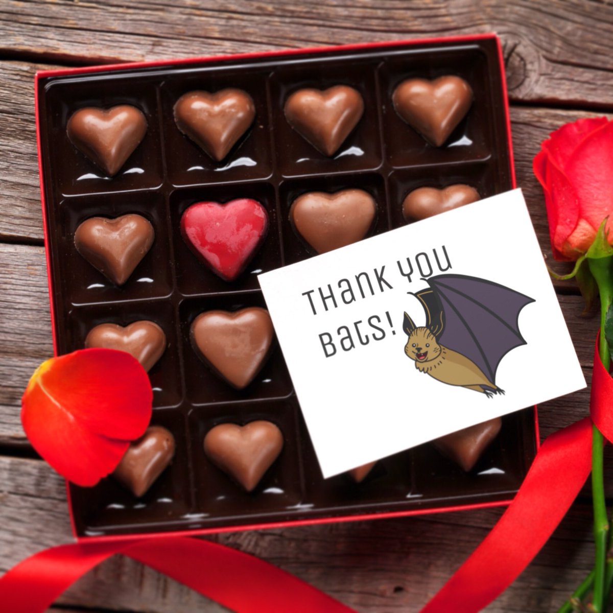 thebatbnb's tweet photo. Did you know that we have bats to thank in part for chocolate?! 🍫

Bats help spread seeds for nuts, figs and cacao -- the main ingredient in chocolate. 🍫

Thanks bats! Share if you didn’t know! 😁🦇

#bats #valentinesday2021 #batlove https://t.co/2j1AZLt8J6