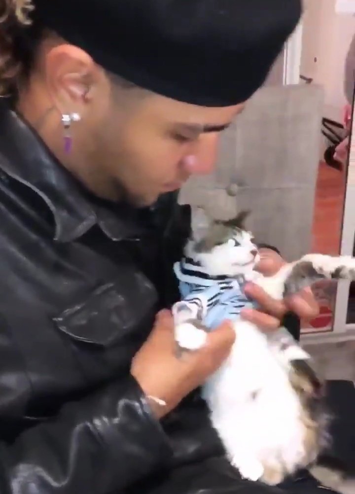 richardglows's tweet image. LE COMPRÓ ROPITA A SU GATITO NO TE PUEDE INTIMIDAR