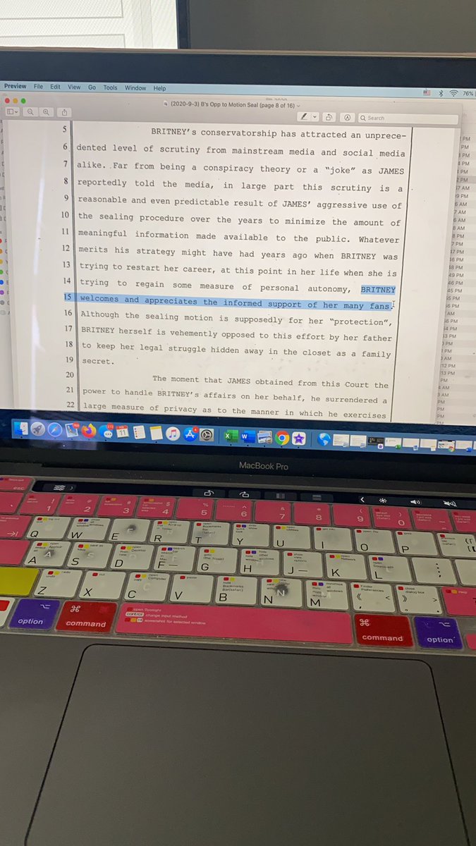 And this court filing is probably our favorite one of all time. Sam Ingham comes out swinging. He trashes Jamie and them but gives us the line we all know by heart “...Britney welcomes and appreciates the informed support of her many fans.” 22/?