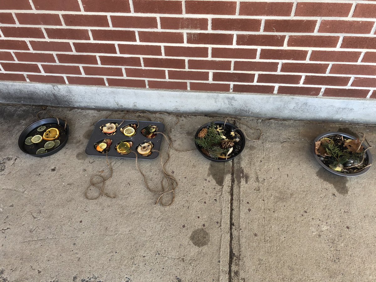 Bantingalt's tweet photo. Banting students using the beauty of nature and ice to create sun catchers that double as bird feeders.  Results will be shown tomorrow!  Thanks, Janet and Mary, for organizing! @Bant_Boardshop @OCDSB https://t.co/DT1JxibRmW