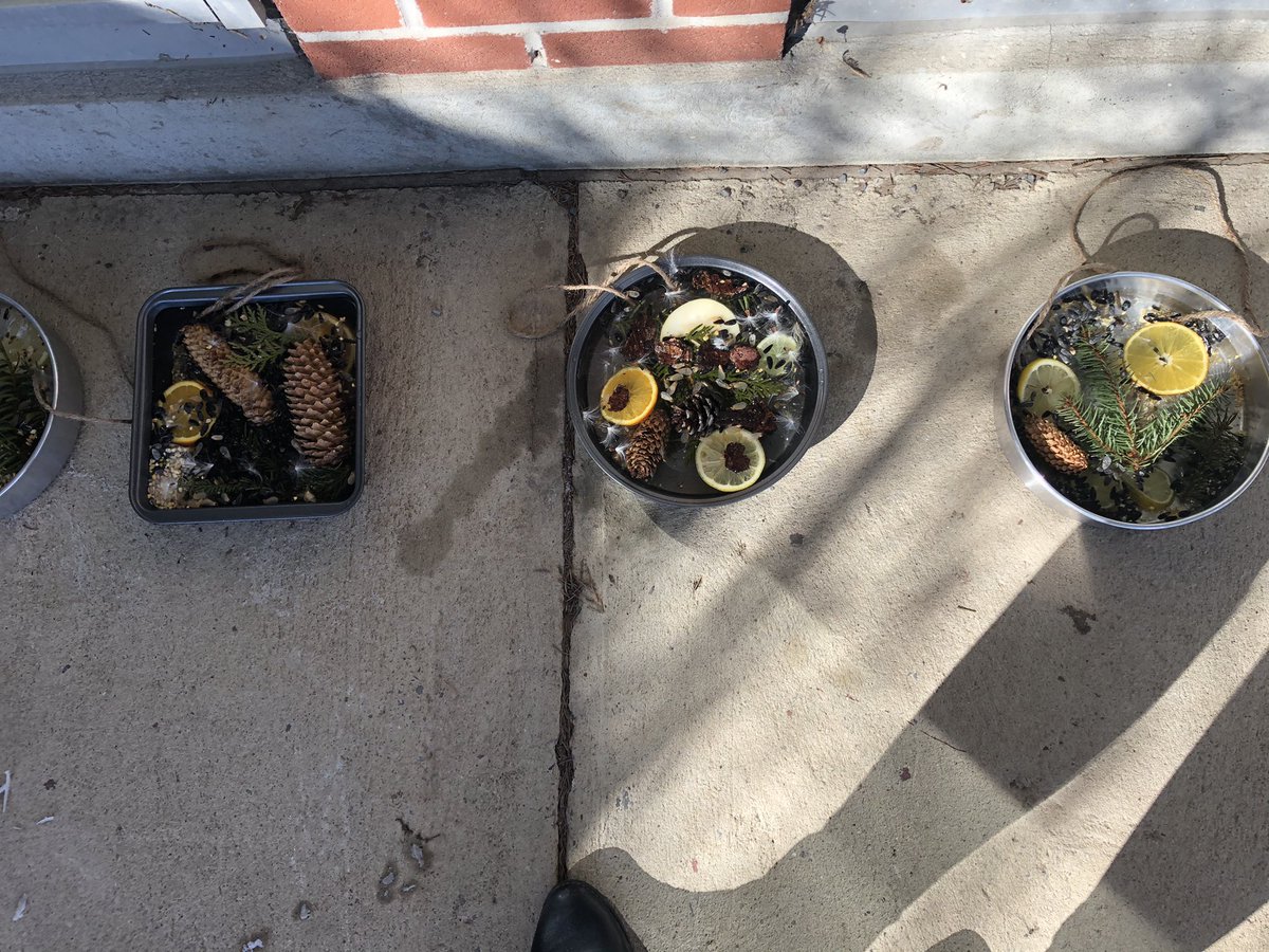 Bantingalt's tweet photo. Banting students using the beauty of nature and ice to create sun catchers that double as bird feeders.  Results will be shown tomorrow!  Thanks, Janet and Mary, for organizing! @Bant_Boardshop @OCDSB https://t.co/DT1JxibRmW