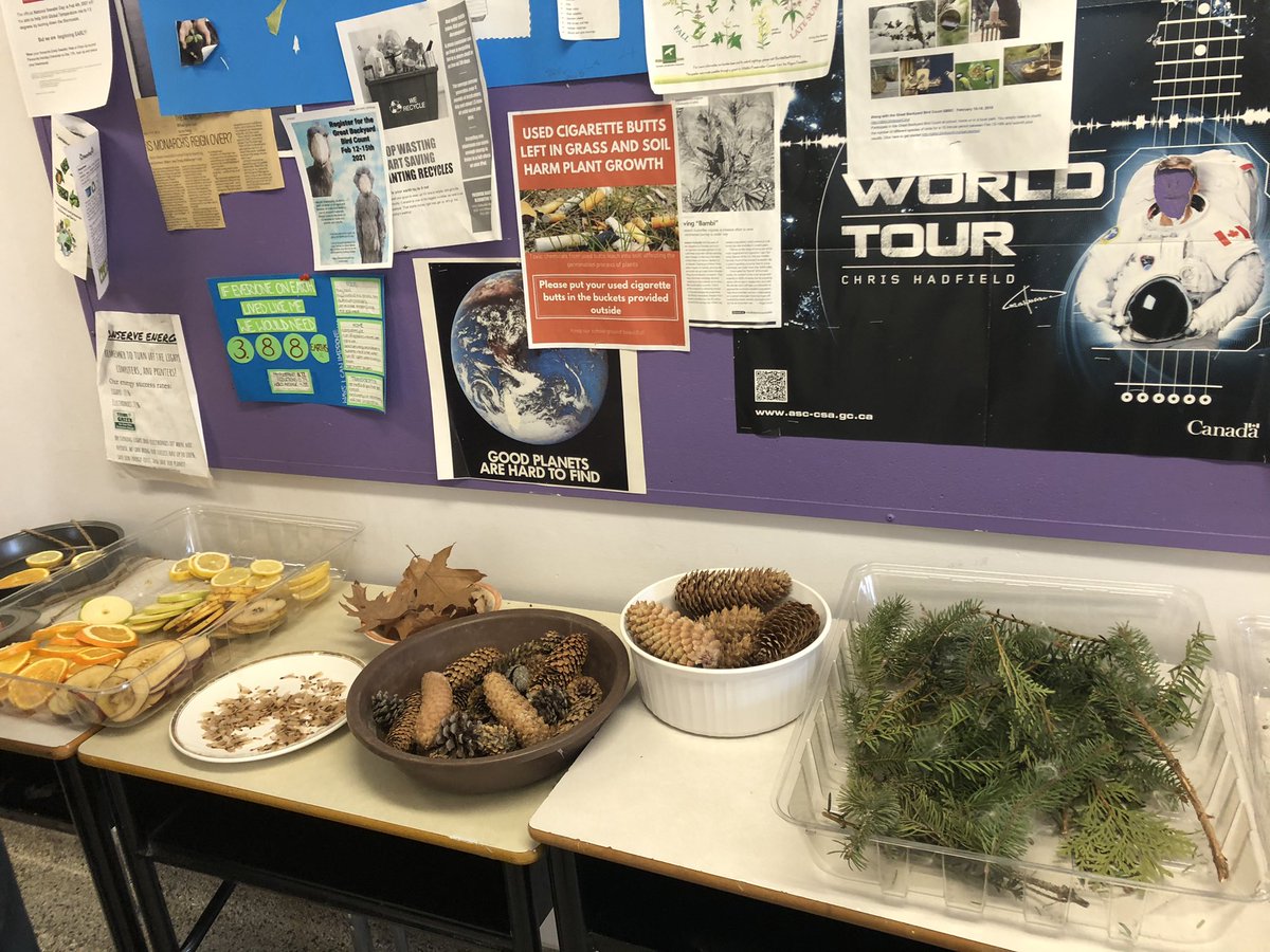 Bantingalt's tweet photo. Banting students using the beauty of nature and ice to create sun catchers that double as bird feeders.  Results will be shown tomorrow!  Thanks, Janet and Mary, for organizing! @Bant_Boardshop @OCDSB https://t.co/DT1JxibRmW