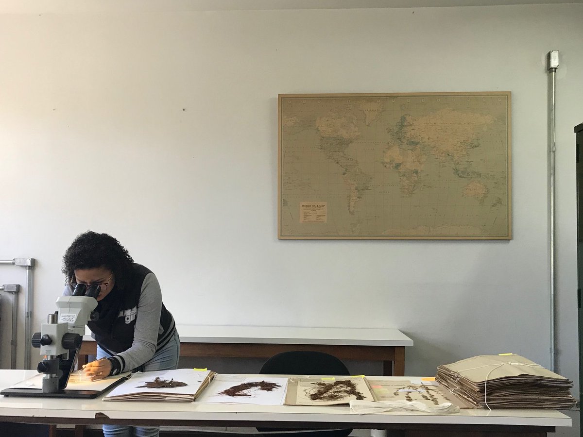 mone_sys's tweet photo. #InternationalDayOfWomenInScience
Let's celebrate all contribution and effort of #WomenInScience
I am a young #plant #taxonomist which study the #Brazilian #Flora, contributing to its knowledge and conservation. Congrats to all my colleagues! @KewScience @WomenScienceDay https://t.co/GTzZKsbjOD