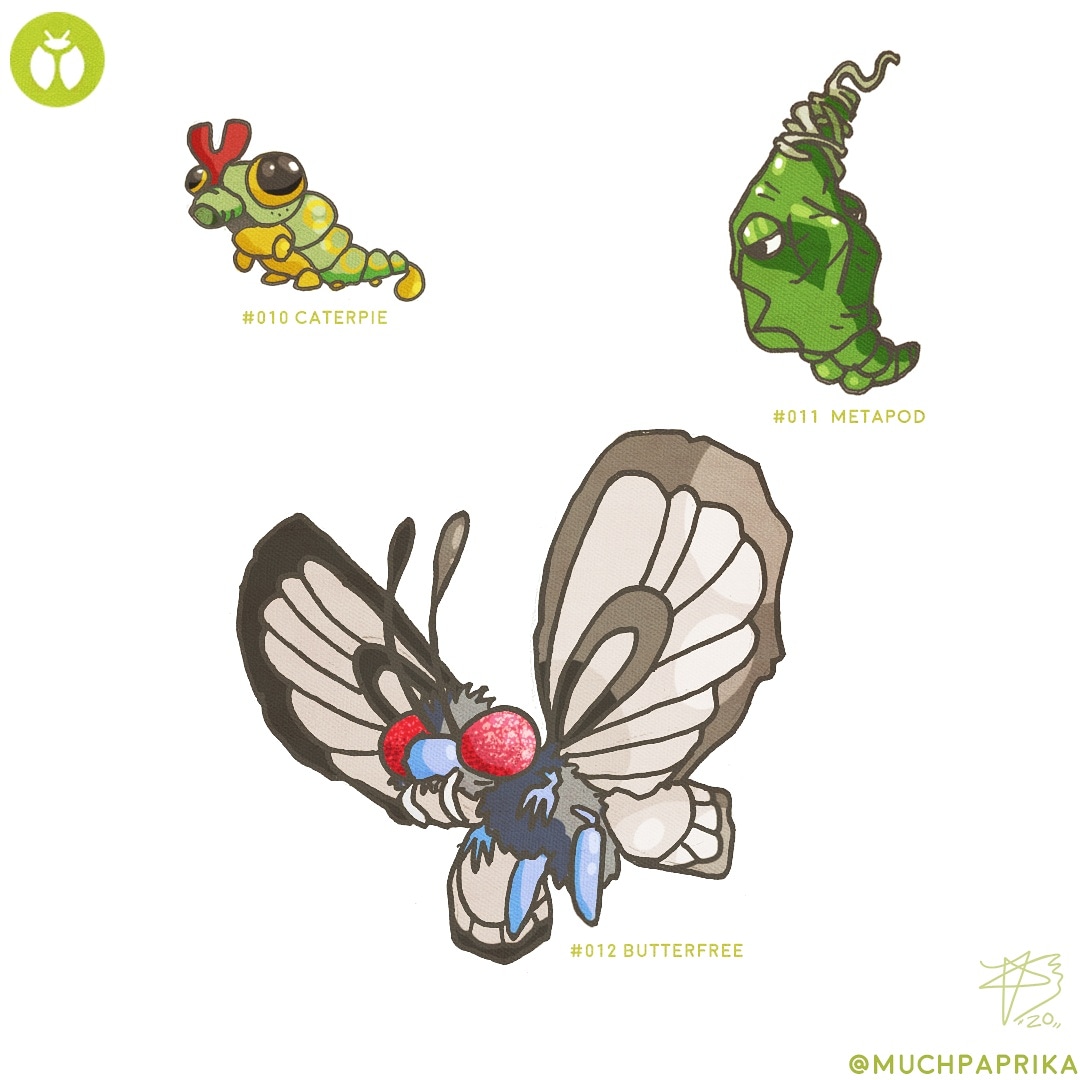 muchpaprika's tweet photo. Stretchy squiggly fellas,
(Personally prefer the vivillion line yano)
.
.
#pokemon #art #beedril #butterfree #illustration #イラスト #ポケモン #bugs #bees #kanto #nature撮影会 https://t.co/B4zWqdN1a4