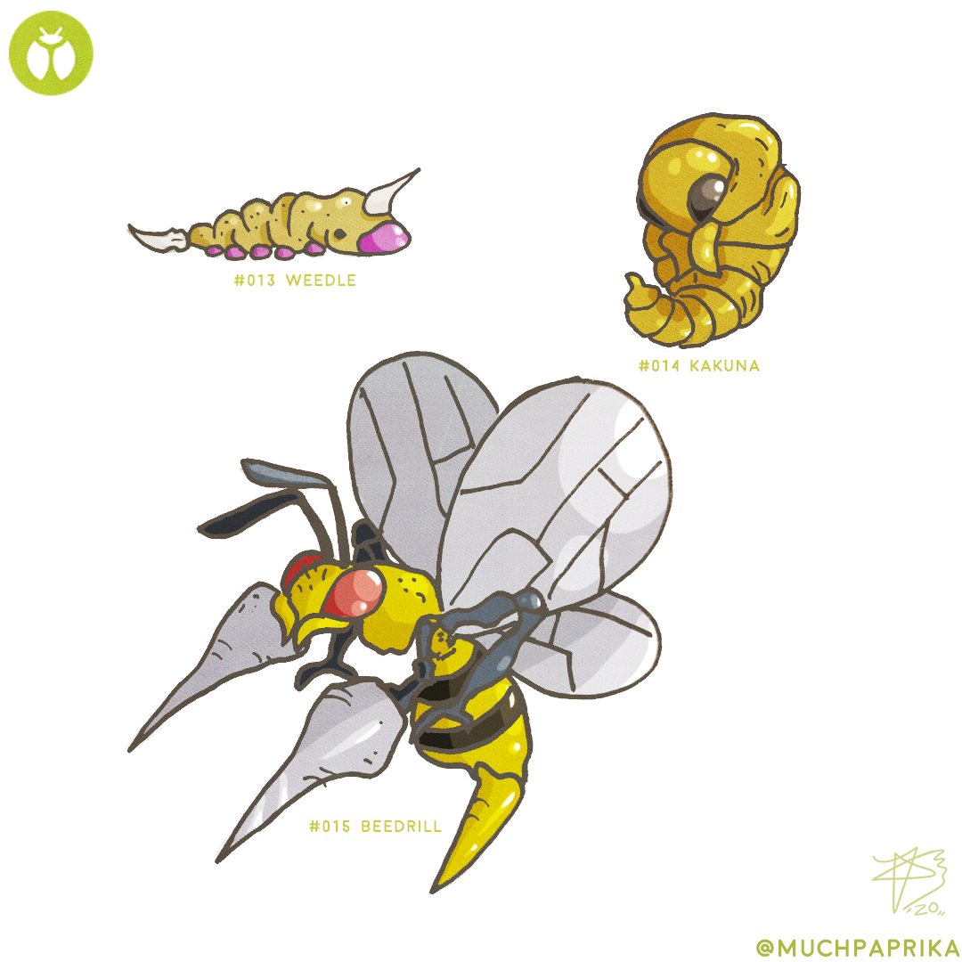 muchpaprika's tweet photo. Stretchy squiggly fellas,
(Personally prefer the vivillion line yano)
.
.
#pokemon #art #beedril #butterfree #illustration #イラスト #ポケモン #bugs #bees #kanto #nature撮影会 https://t.co/B4zWqdN1a4