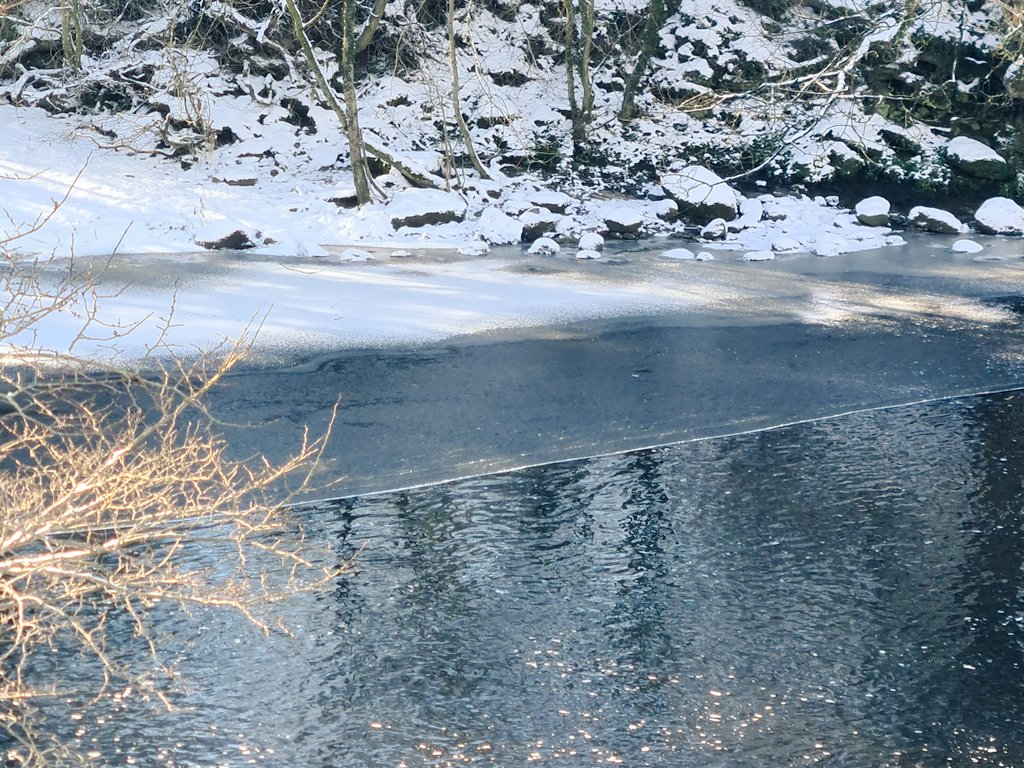 johnrc58's tweet photo. #OFFH walk with Edie this morning in Barnard Castle, with Moorhen added to the dog's yearlist. Ice forming on the slower stretches of the Tees. Felt quite balmy in the sun, even at -1 . https://t.co/2tjkMPpgBL
