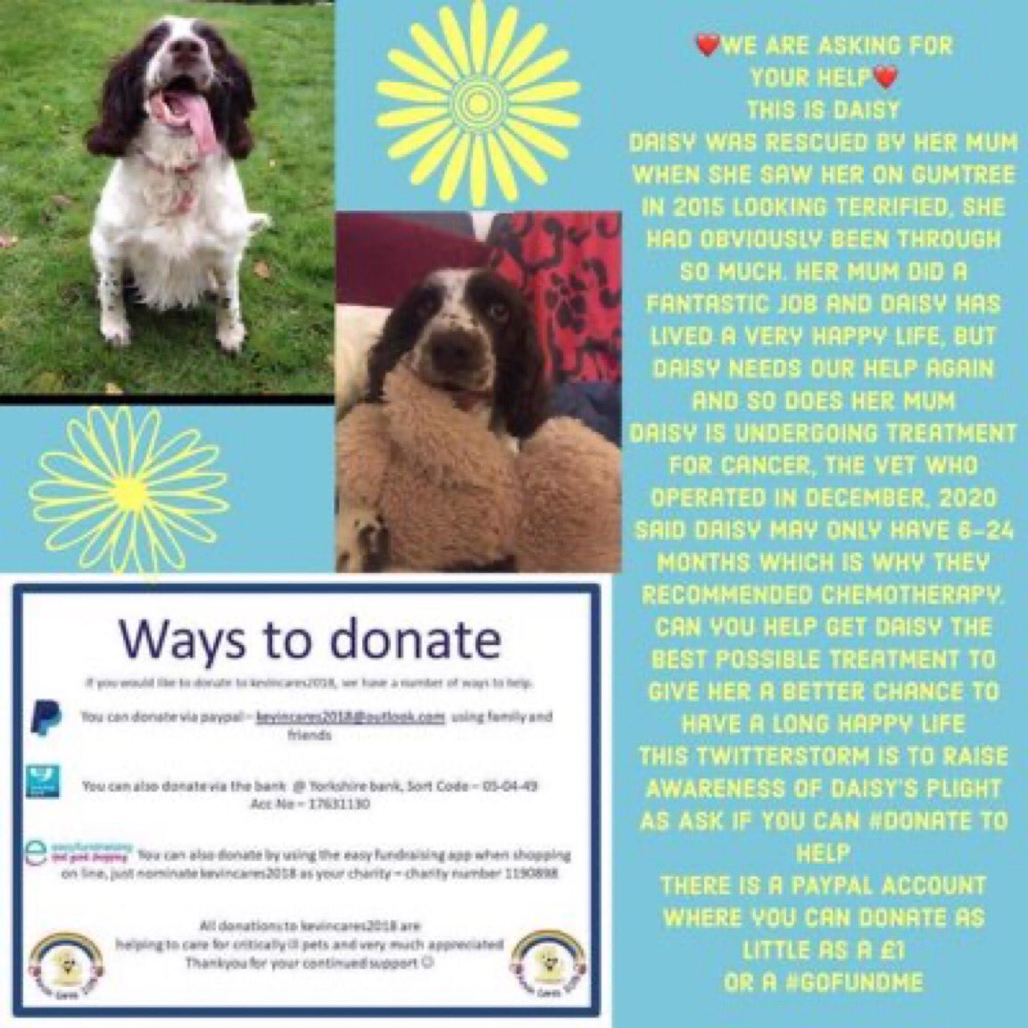 #HelpDaisyBeatCancer
WE NEED YOUR HELP, we need a large sum to get in a short amount of time.
DAISY IS UNDERGOING TREATMENT FOR CANCER, ‼️she needs our help‼️as this is costing the earth.
If you could donate a tiny bit is would help.
@alid2912 

paypal.me/pools/c/8uVqYP…