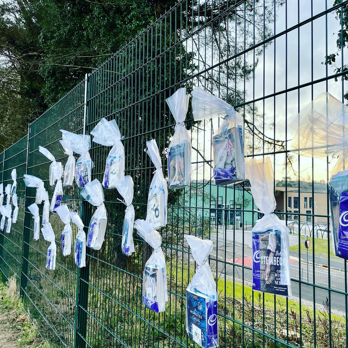 Cara Marvelley tweet media