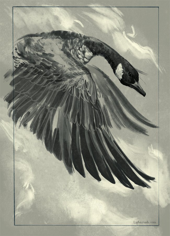 Who else likes to draw birds? Share your birds, I'd love to see!