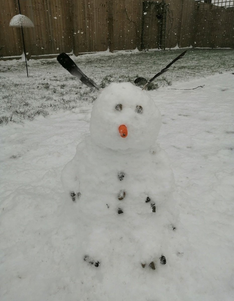 PallisterParkPS's tweet photo. This snow monster was created by two of our talented #pally #homelearner pupils who have been working with mum. #workhardplayhard https://t.co/dEeLOWyBqg