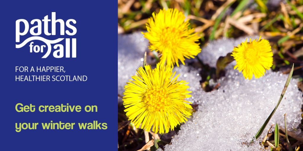 walking_scot's tweet photo. Get creative on your winter walks:
On your walk try to imagine the succession of plants from the first snowdrops, primroses, and wild garlic, all the way through the flowers and fruits, to end with hazelnuts or ivy.
#CreativeWalking #WalkOnceADay #Mindfulness https://t.co/iHoMxiP4Bz