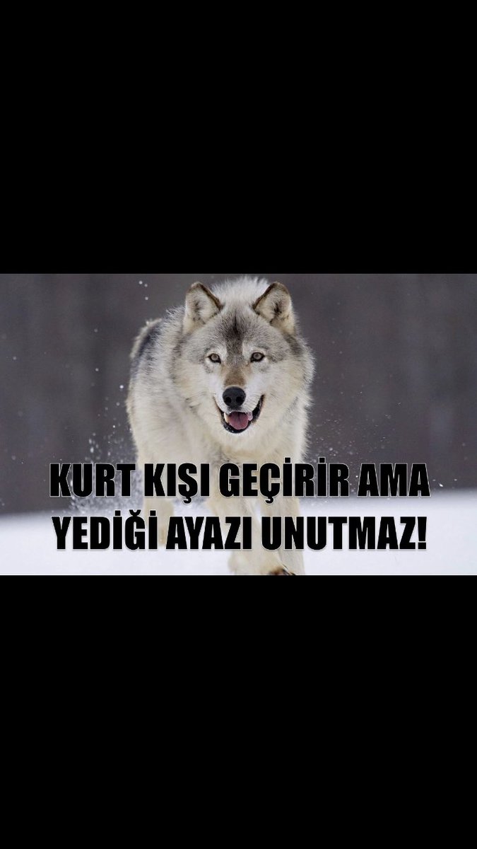 <a href="/_aliyalcin_/">Ali YALÇIN</a> Çünkü elbet eşimle kızım kavuşacak ama ben unutacak mıyım yalnızlığı asla!! Ve bu yüzden bazı şeyler de ASLA!!