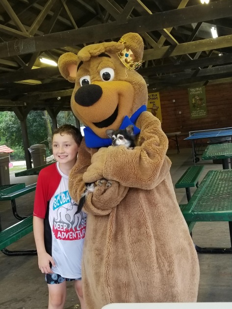 jellystonedells's tweet image. In honor of National Love Your Pet Day,  Yogi Bear’s Jellystone Park™ is a pet friendly camp resort! Please show us a picture of your pet while staying with us and we will enter you in a contest for 2 free Pay one Price wristbands. Contest ends on 2/26!