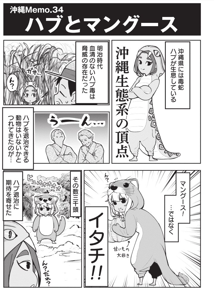 ハブとマングースの知られざる真実 