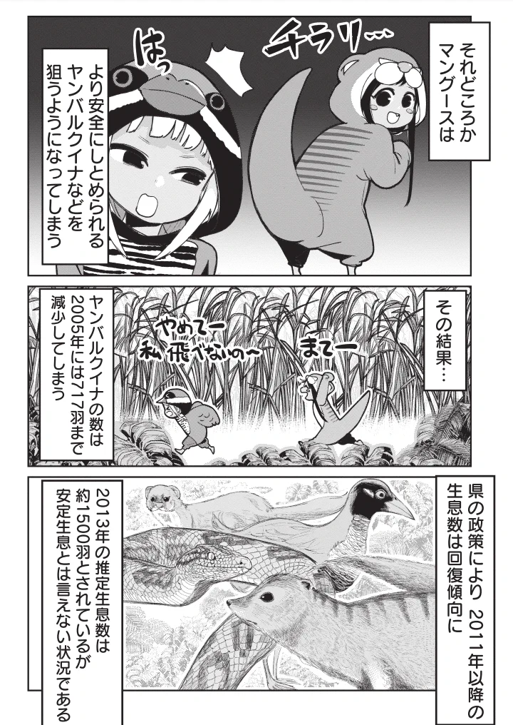 天敵同士のはずが？ハブとマングースの知られざる過去!