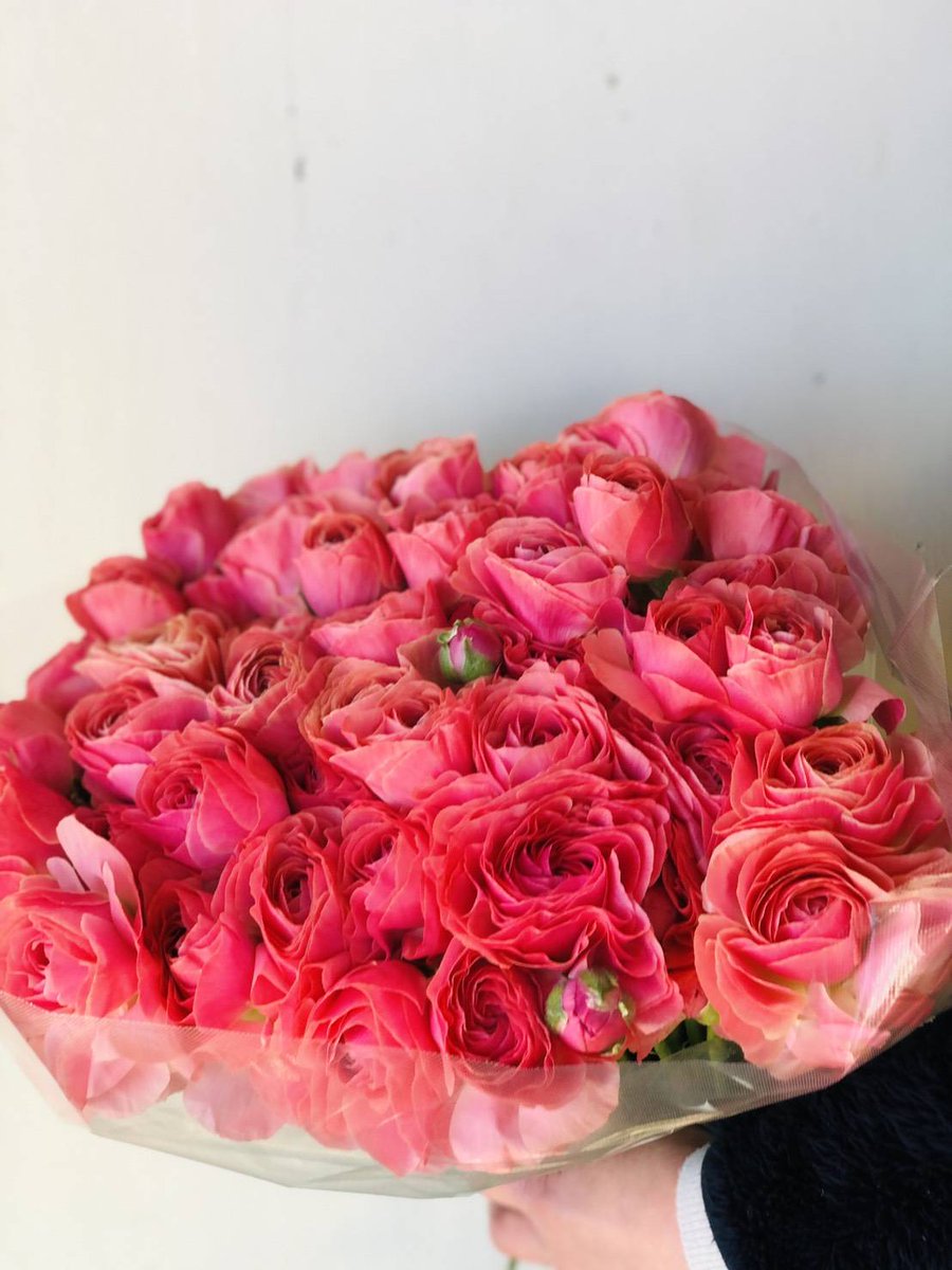 花 みずの ラナンキュラスも 季節です アプリコットのビュゼ サーモンピンクも 流山 おおたかの森 柏 花屋 Flower Flowers Flowershop Flowerdesign Florist Flowerarrangement Bouquet Flowerlesson Http Www Hanamizuno Com 花束 花 みずの ラナンキュラスも 季節です アプリコットのビュゼ サーモンピンクも 流山 おおたかの森 柏 花屋 Flower Flowers Flowershop Flowerdesign Florist Flowerarrangement Bouquet Flowerlesson Http Www Hanamizuno Com 花束