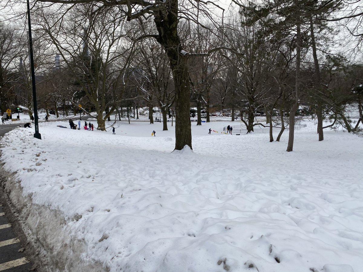 MarcyKlevorn's tweet image. Central Park a jewel in any season! Relocating here temporarily- upper west side - any carry out dining or life tips welcome!  #nyc #temporaryhome