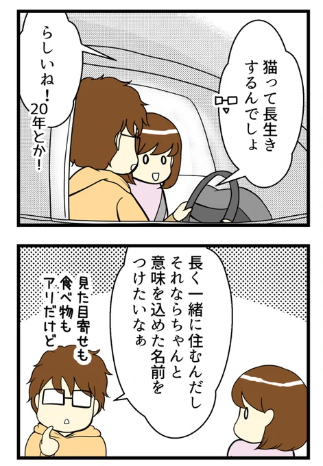 猫探し編⑪-猫の名づけ問題 夫の提案で三種の神器から決めました #漫画が読めるハッシュタグ #保護猫 #猫のいる暮らし 