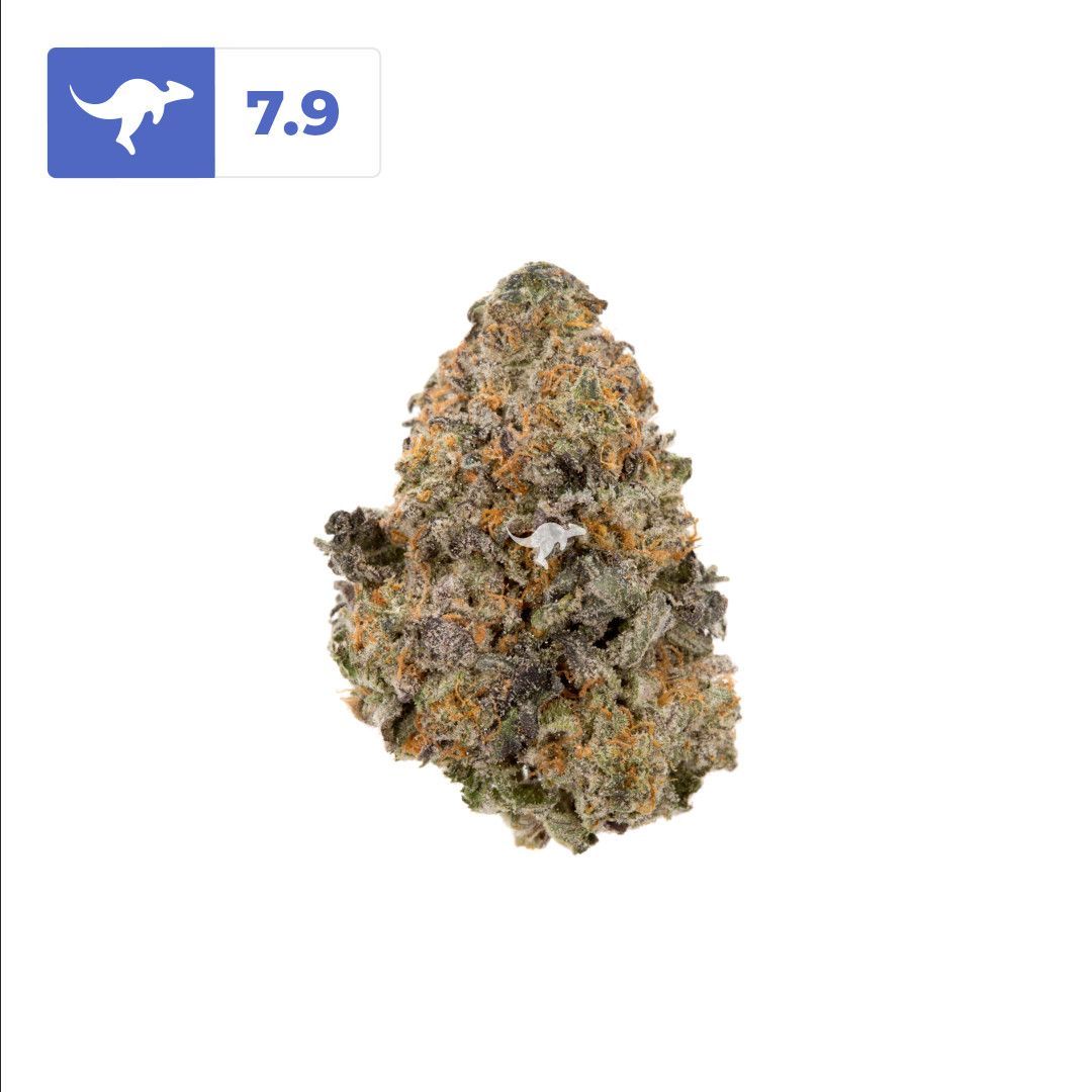 canngaroo's tweet image. Gelato Cake | #gelatocake
•
Gelato Cake is a potent indica-dominant strain with a berry, citrusy, and vanilla flavour that will have you feeling relaxed and happy and is recommended for evening use.
•
Have you tried this strain? Review on Canngaroo and earn rewards!
•