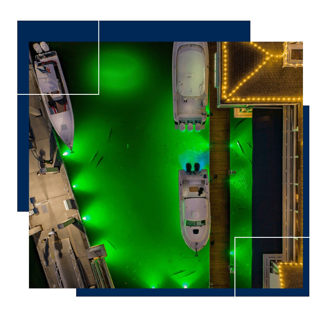seavisionglobal's tweet image. DV59 Lights at @15StFisheries LIVE! How cool is that?!💚
#DeckLights #UnderWaterLight #SeaVision #15thStreetFisheries