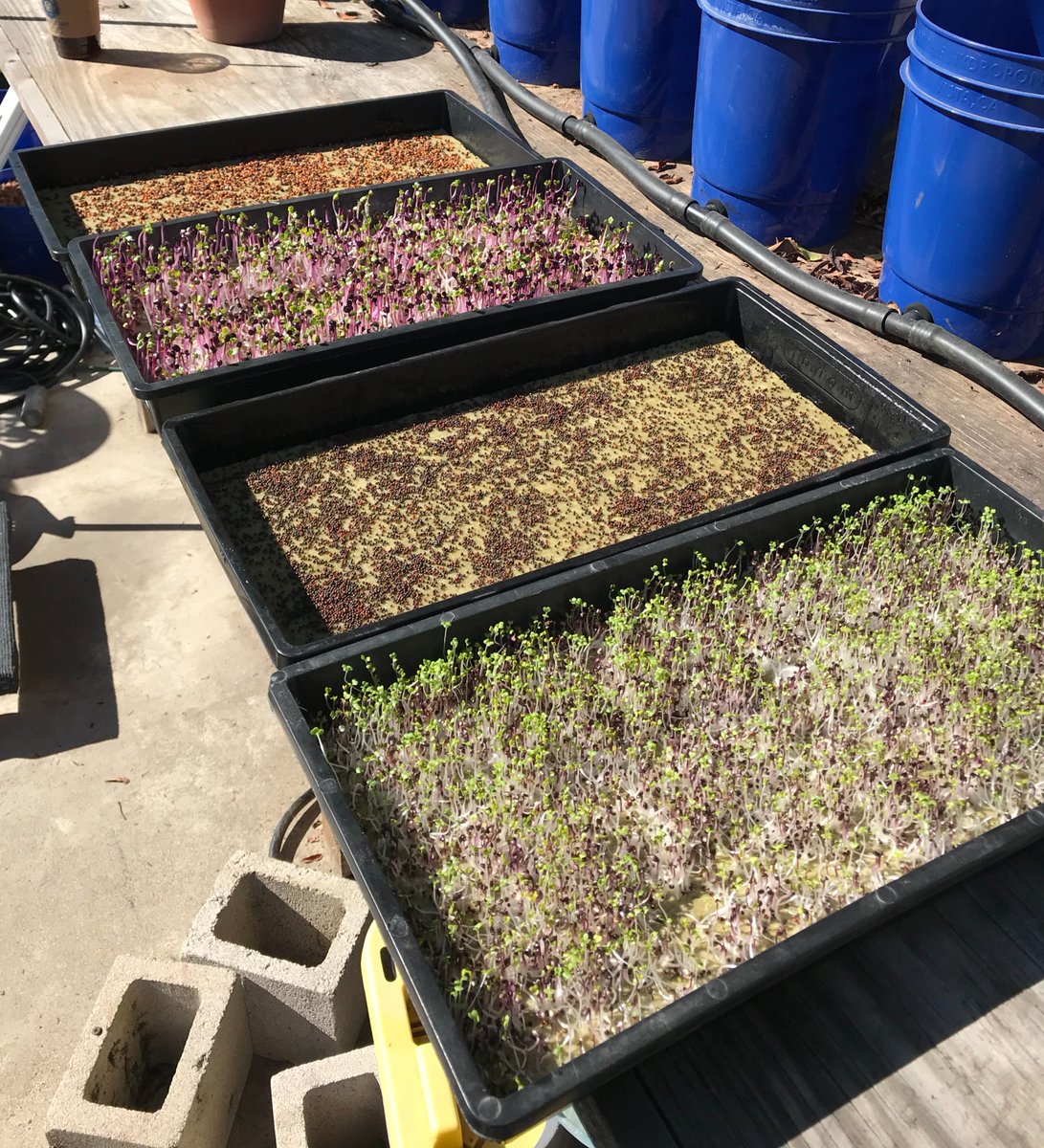 Urban Growth tweet media