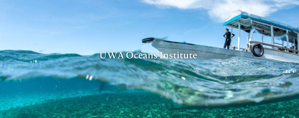 Shane Keating tweet media