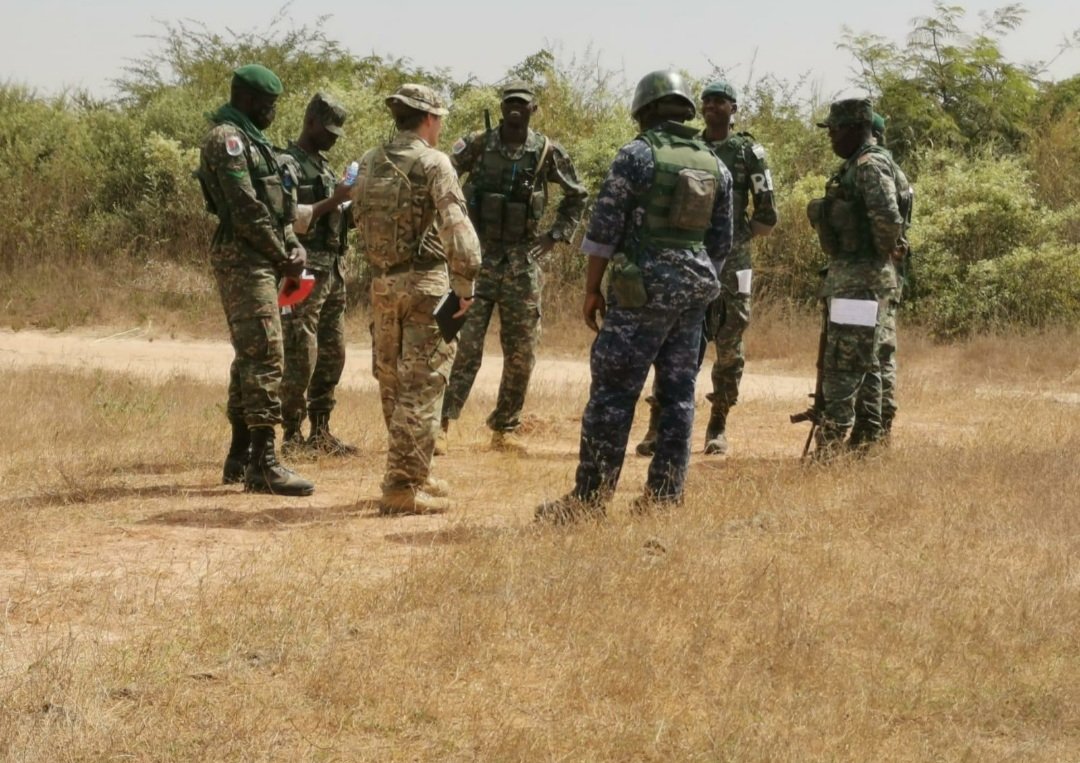 Small Arms School Corps tweet media