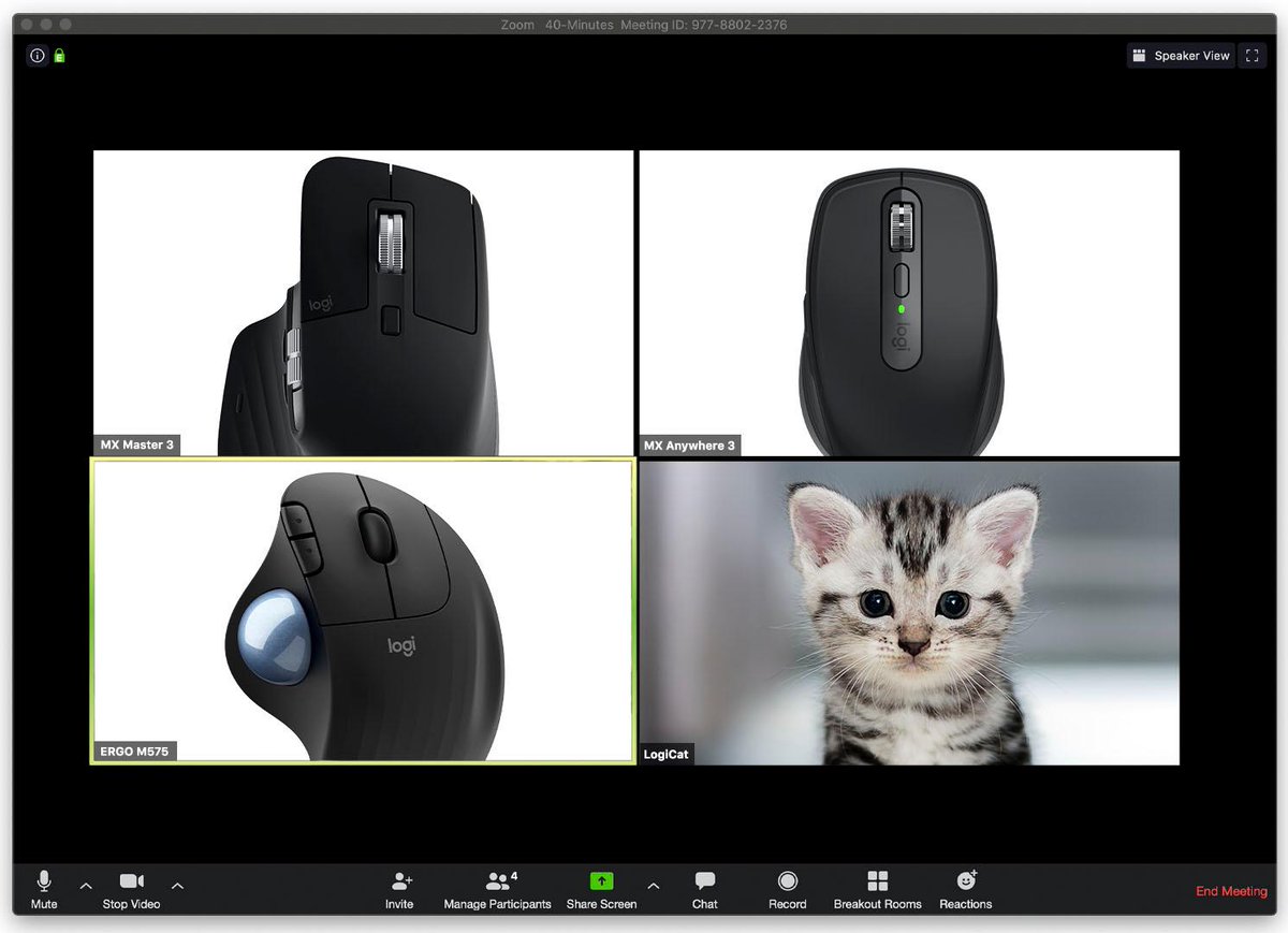 Logitech's tweet photo. Cat: "I'm not a cat." https://t.co/SbfhSOYaSI