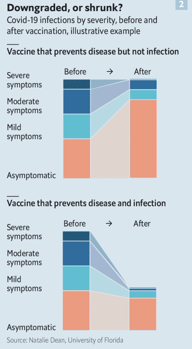 Peter Walker (@peterj_walker) on Twitter photo Great graphic from <a href="/nataliexdean/">Natalie E. Dean, PhD</a> and <a href="/TheEconomist/">The Economist</a> showing the difference between a vaccine that prevents infection AND severe disease vs one that only prevents disease.
Clearly hoping (and expecting) for the second graph here Great graphic from <a href="/nataliexdean/">Natalie E. Dean, PhD</a> and <a href="/TheEconomist/">The Economist</a> showing the difference between a vaccine that prevents infection AND severe disease vs one that only prevents disease.
Clearly hoping (and expecting) for the second graph here